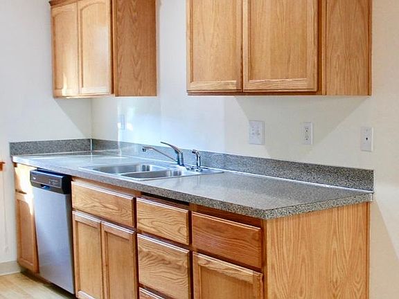 Oak cabinets and dishwasher