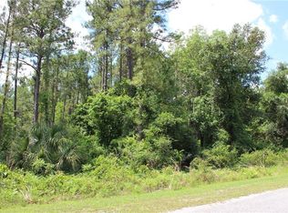 LOT 20 Apricot Ave, Eustis, FL 32736