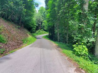 Us Highway 19e, Roan Mountain, TN 37687