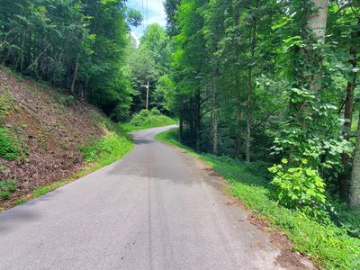 Us Highway 19e, Roan Mountain, TN, 37687