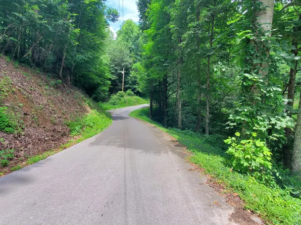 Us Highway 19e, Roan Mountain, TN 37687
