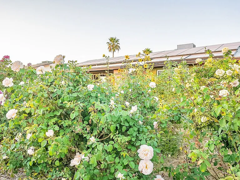 1022 W Apollo Ave — Photo 13