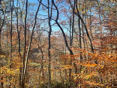 LOT 193 Stillwater Blvd, Russell Springs, KY, 42642