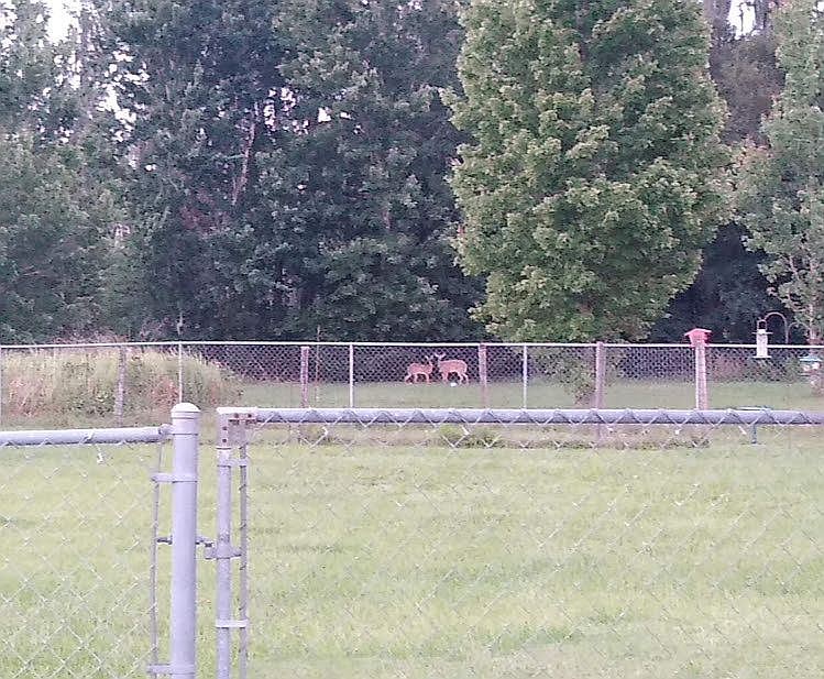 2nd image of 7573 Dove Meadow Trl