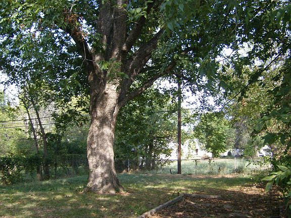 4th image of 721 N Evanston Ave