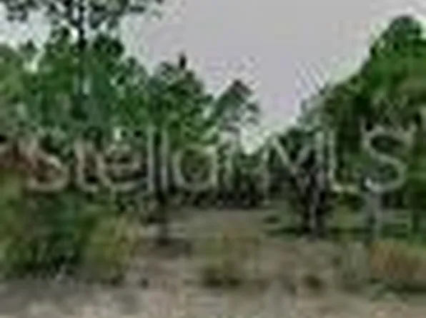 34 Pine Crest Ln Lot 30, Palm Coast, FL 32164