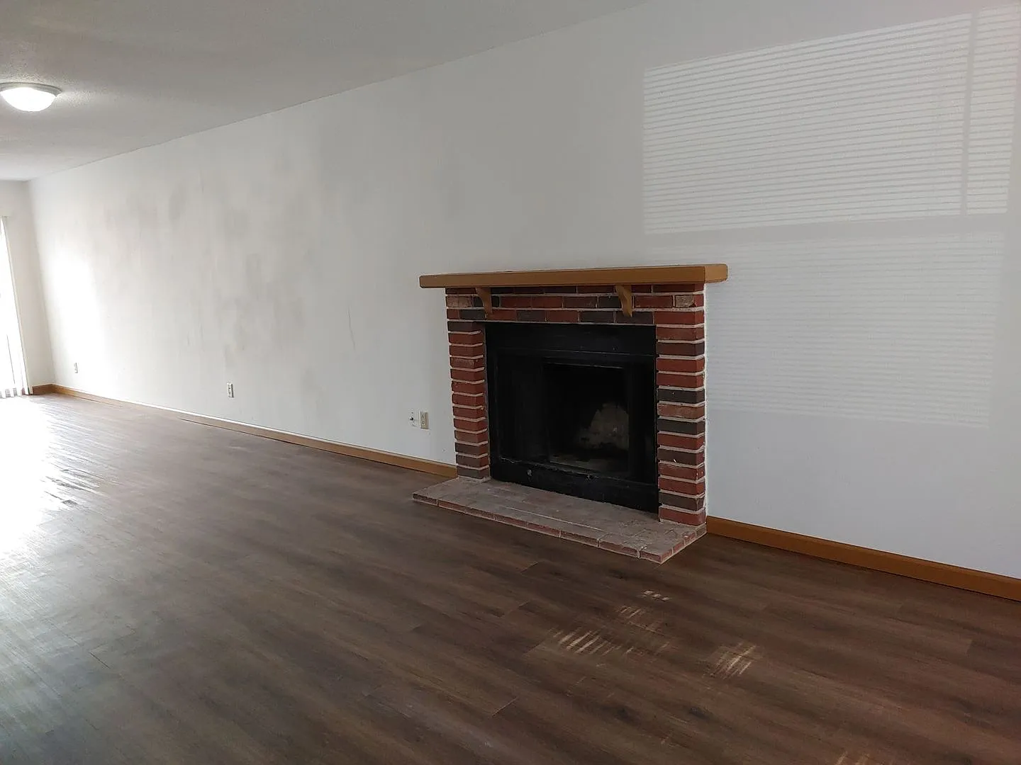 Mimosa 3026 — Photo 2