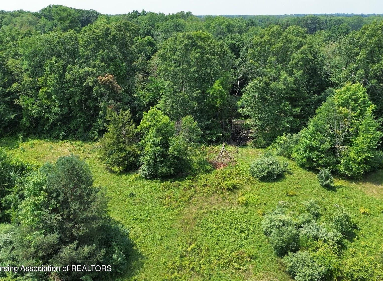 0 King Rd, Spring Arbor, MI 49283 MLS 274982 Zillow