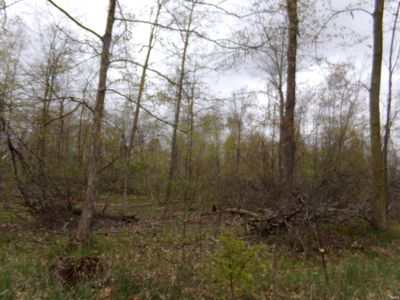 4275 E 200 S, Lagrange, IN, 46761