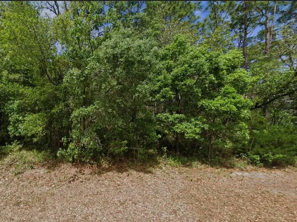 22 Lemington Ct, Homosassa, FL 34446