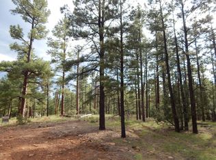 300 S 30th Ave, Show Low, AZ 85901