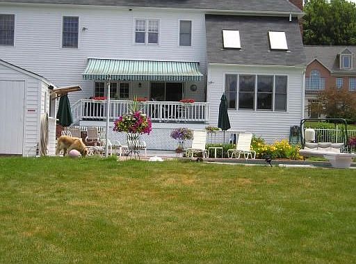 yard