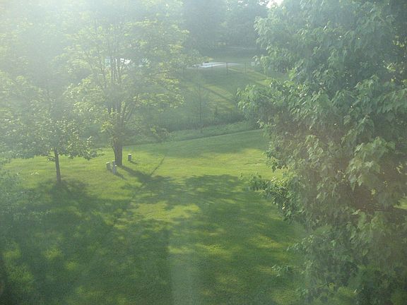 spectacular view from the great room