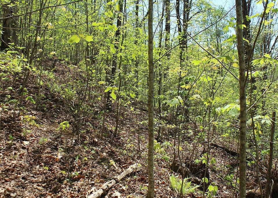 1st image of 60 Shiloh Trl