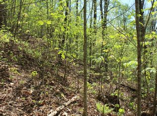 60 Shiloh Trl, Hayesville, NC 28904