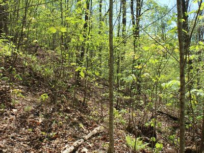 60 Shiloh Trl, Hayesville, NC, 28904