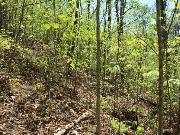 60 Shiloh Trl, Hayesville, NC 28904