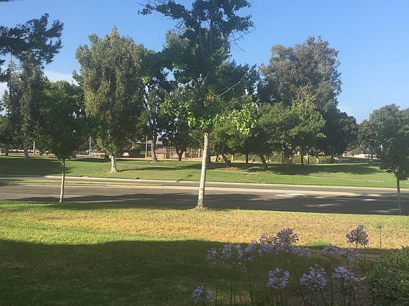 Park view