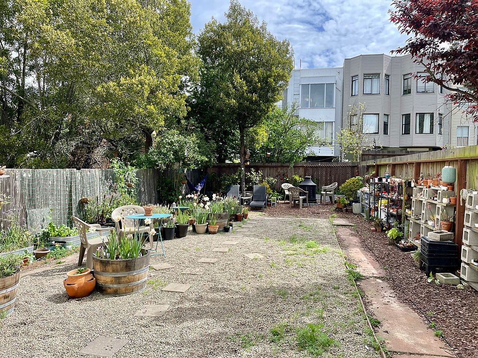 shared backyard