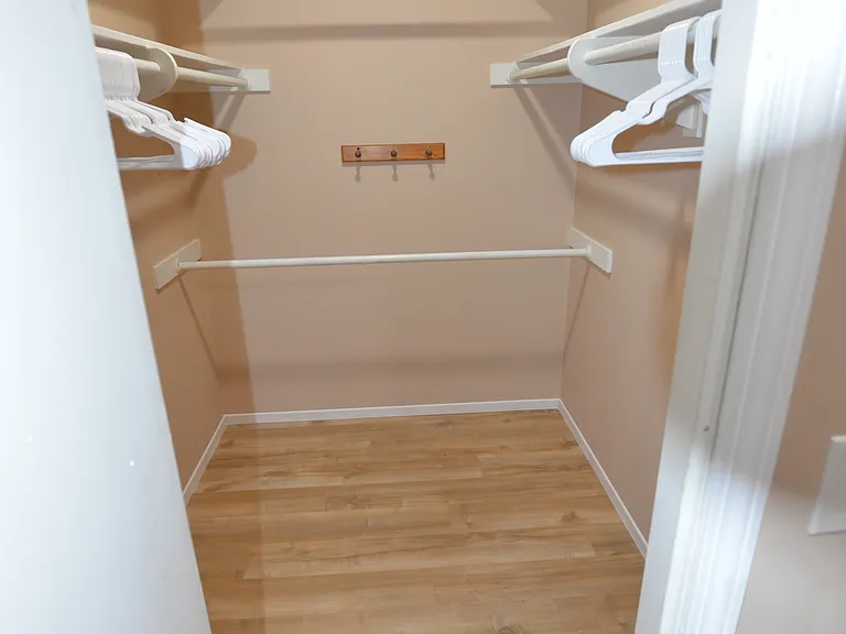 Walk in closet (master bedroom)