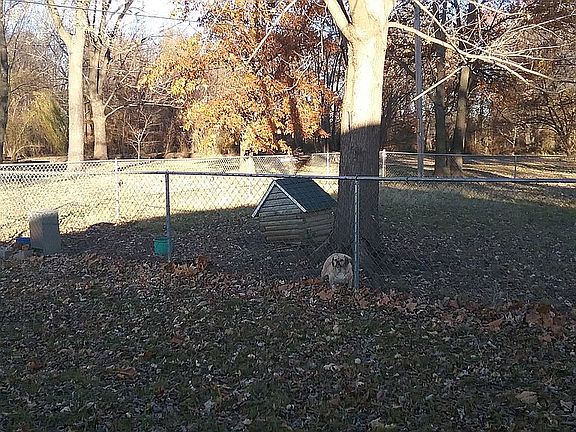 partially fenced in yard