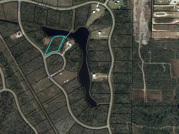 102 Calmwater Cir, Wewahitchka, FL 32465