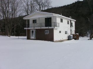 403 Michigan Hollow Rd, Spencer, NY 14883