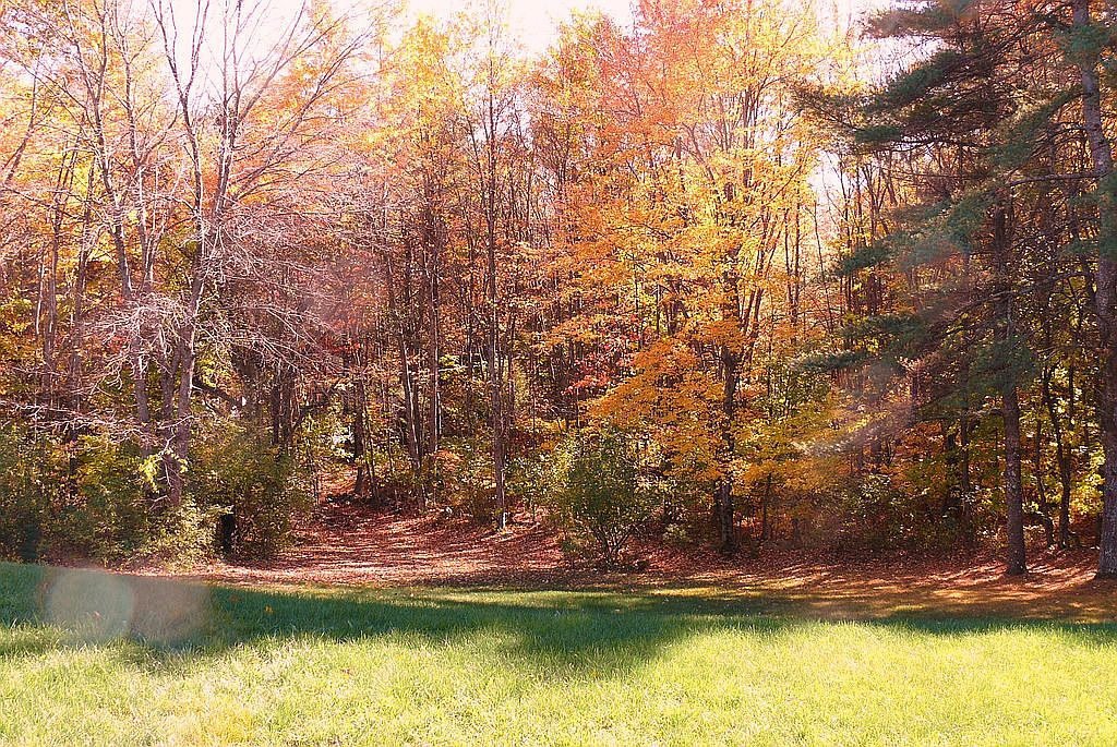 2 Mirror Lake Dr, Mirror Lake, NH 03853 Zillow