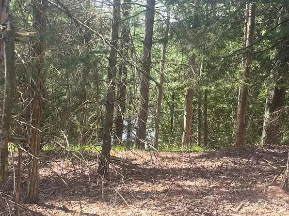 0 Donna Dr, Big Rapids, MI 49307