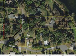 2140 County Road 412, Lake Panasoffkee, FL 33538