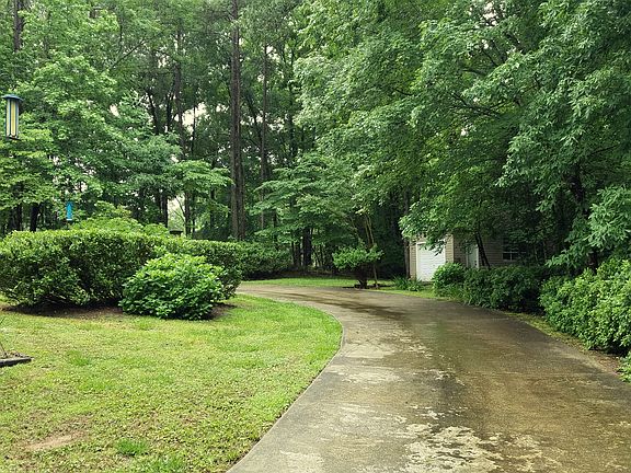 Iris & Azaleas line driveway