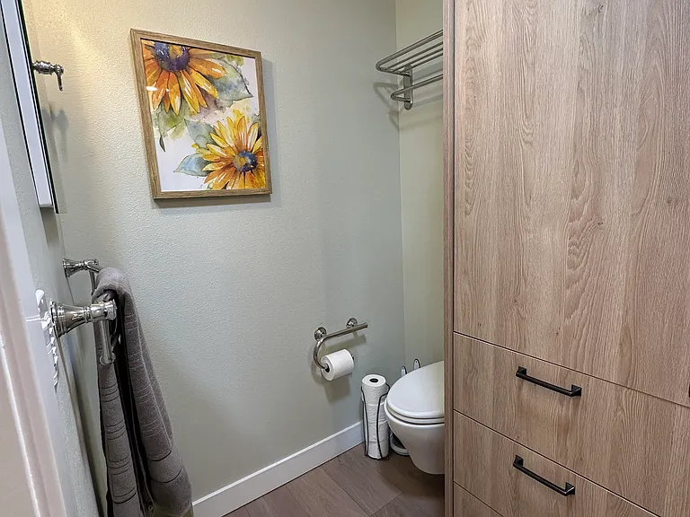 Bathroom #1 storage and toilet