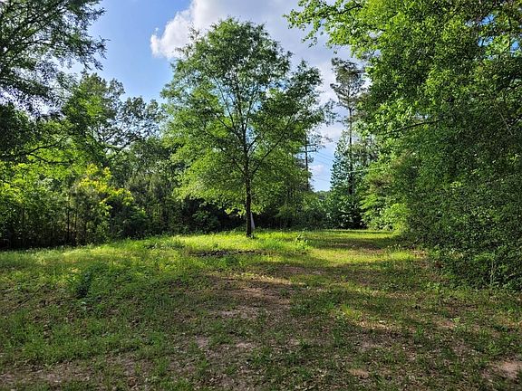 5th image of 15778 Hayden Rd