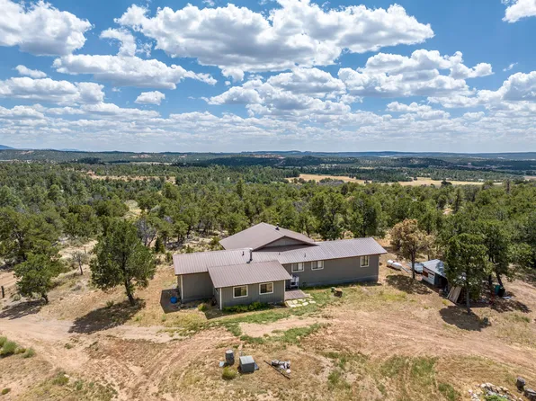 84 Private Drive 1717, Lindrith, NM 87029