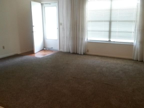 Brand new carpet in living room