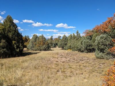 LOT Near Chama, Tierra Amarilla, NM, 87575