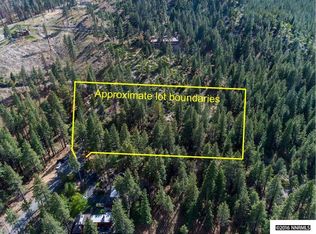 2800 Old Ranch Rd, Washoe Valley, NV 89704