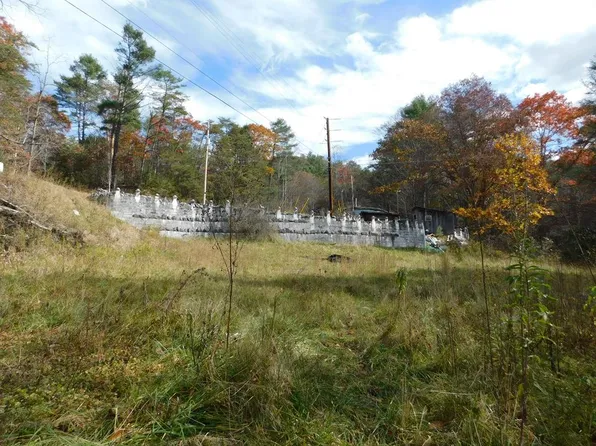 290 Angels Pass Dr, Bastian, VA 24314