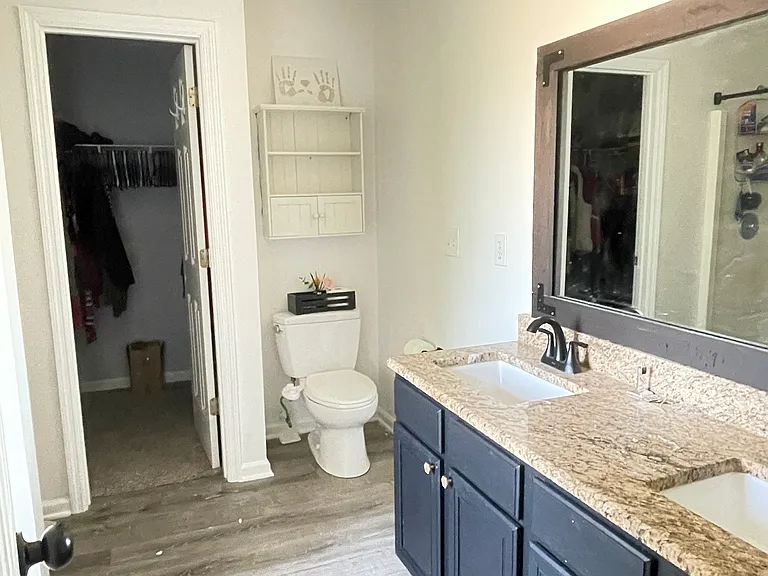 Master Bath- new vanity & light, fresh paint, modern fixtures