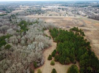 0 Hagan Rd, Whitehouse, TX 75791