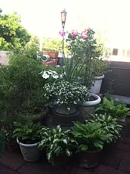 Sold by Dwell Residential Inc