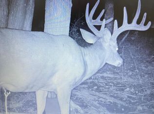 Xxx 120th St, Clam Falls, WI 54837