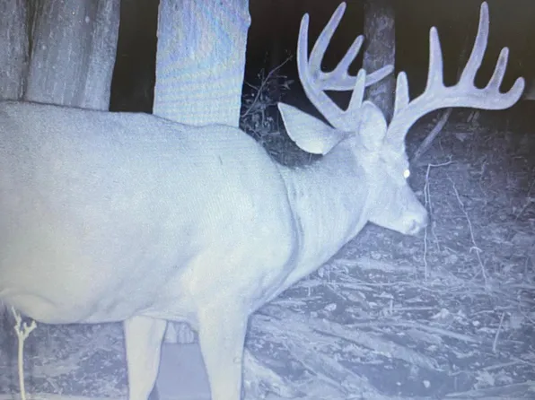 120th St, Frederic, WI 54837