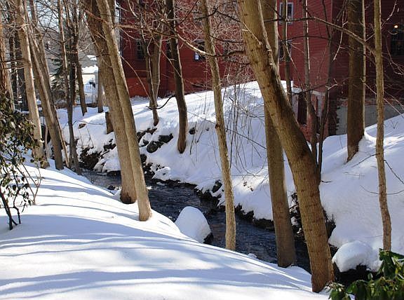 Winter views of garden & stream