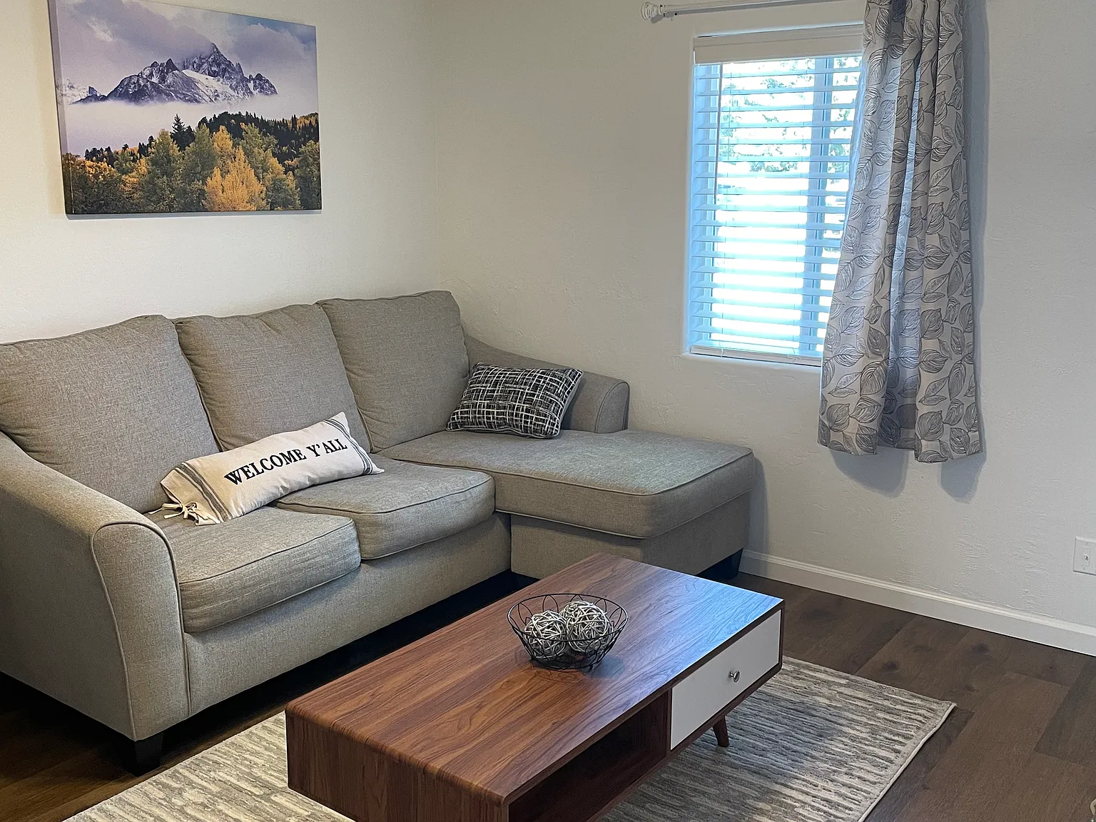1 bed, 700 sqft, $1,600 — Photo 3