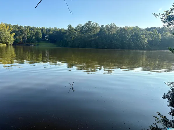 LOT 7 Cams Cov Old Hwy Lot 431-7, Wedowee, AL 36278