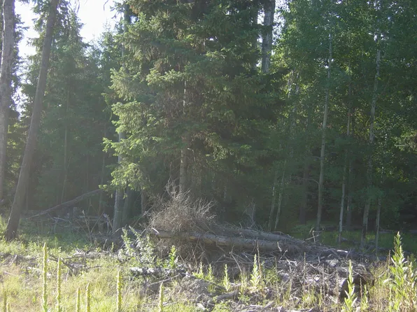 Nhn Acm Rd S, Libby, MT 59923