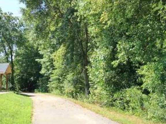 Backs up to Swamp Rabbit Trail