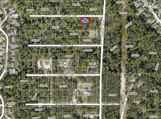 Lots 111 & 112 Sunrise Blvd LOT 111, Mount Dora, FL 32757