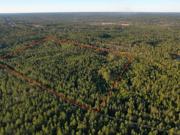 0 Timber Company Rd Lot 2, Robertsdale, AL 36567